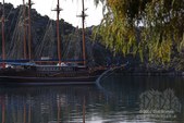 Enlarge photo 132