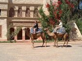 P&D: Morocco 2002