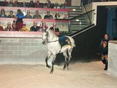 Enlarge photo 27