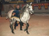 Enlarge photo 28