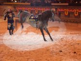Enlarge photo 29