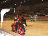 Enlarge photo 41