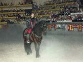 Enlarge photo 51