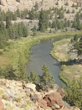 Enlarge photo 61