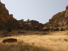 Enlarge photo 71