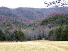 Enlarge photo 41