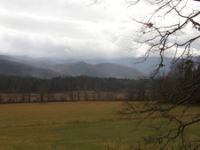 Enlarge photo 46