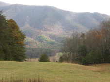 Enlarge photo 45