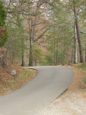 Enlarge photo 40