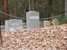 Enlarge photo 50