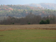 Enlarge photo 53