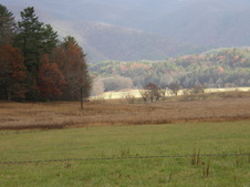 Enlarge photo 47