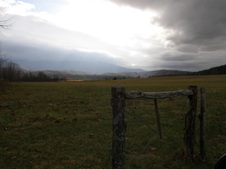 Enlarge photo 54