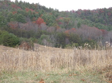 Enlarge photo 55