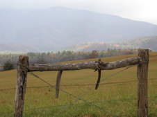Enlarge photo 56