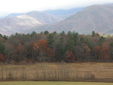 Enlarge photo 57
