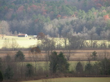 Enlarge photo 59