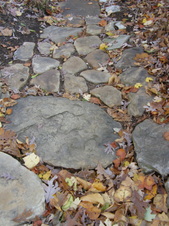 Enlarge photo 36