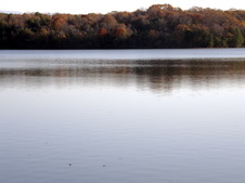 Enlarge photo 37