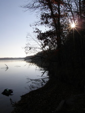 Enlarge photo 39