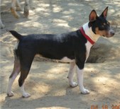 Enlarge photo 27