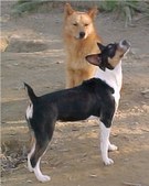 Enlarge photo 42