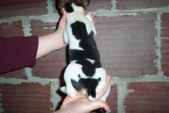 Enlarge photo 53