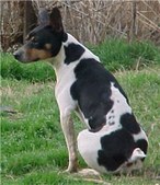 Enlarge photo 29