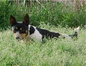 Enlarge photo 24