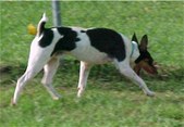 Enlarge photo 43