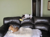 Enlarge photo 6