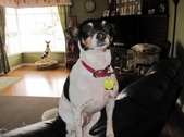 Bodsworth