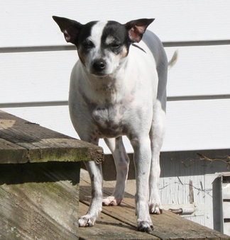 Bonnie