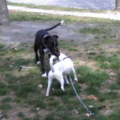 Enlarge photo 3