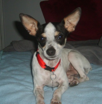 Duncan