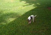 Enlarge photo 1