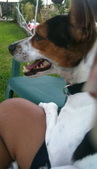 Enlarge photo 20