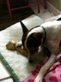 Enlarge photo 23