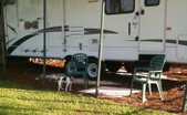 Enlarge photo 26