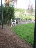 Enlarge photo 32
