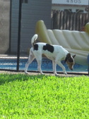 Enlarge photo 36