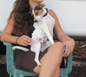 Jasmine (Jazzie) - ADOPTED