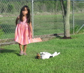 Enlarge photo 56
