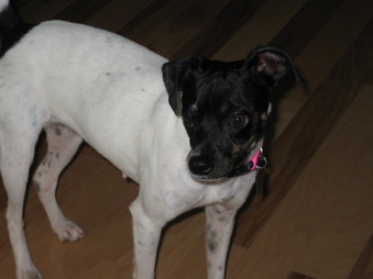 Penny Lane