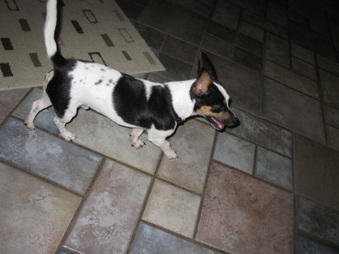 Enlarge photo 4