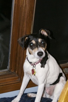 Roxy