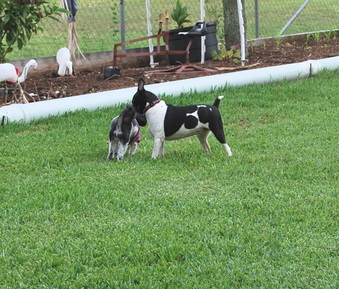 Enlarge photo 27
