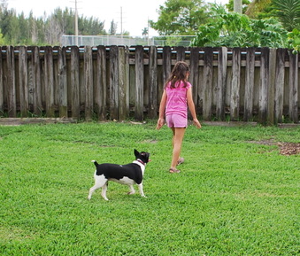 Enlarge photo 35