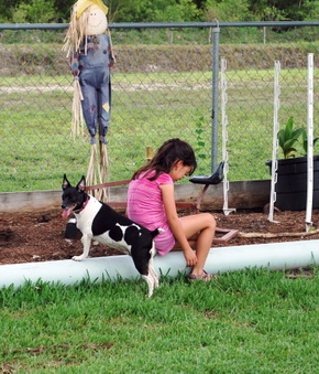 Enlarge photo 39