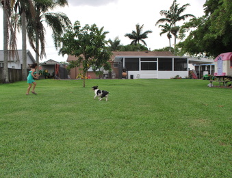 Enlarge photo 45